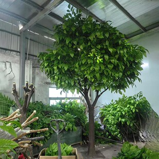 仿真香樟树假树落地园艺庭院酒店定制树花园创意装修工程小区造景