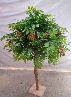 仿真龙眼树假龙眼果超时模型道具室内大型装饰摆件造景