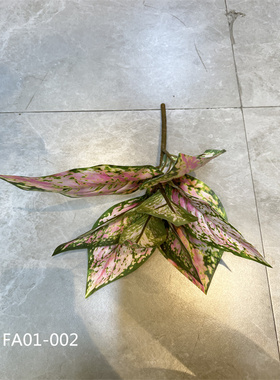 仿真吉利红万年青红色蕨草松柏枝罗汉松绿植装饰红叶桌面装饰摆件