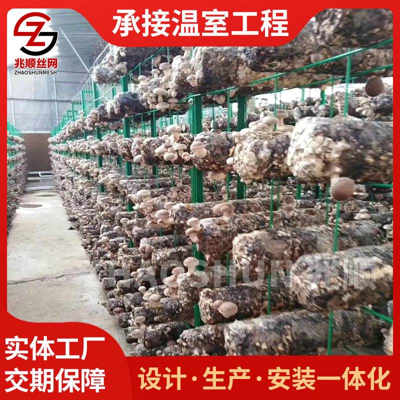 杏鲍菇出菇网架食用种植蘑菇网培养架花架网片温室蘑菇养殖网片图片