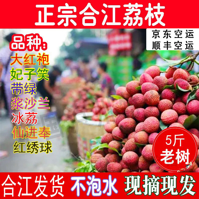泸州合江荔枝新鲜现摘5斤空运