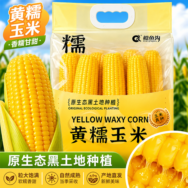 东北黑龙江鲶鱼沟黄糯玉米