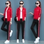 361 bộ đồ thể thao nam và nữ mùa xuân và mùa thu mã lớn đội nhảy ma quần áo Jordan vài bộ đồ cotton giản dị chạy bộ quần áo - Thể thao sau bộ thể thao nam adidas