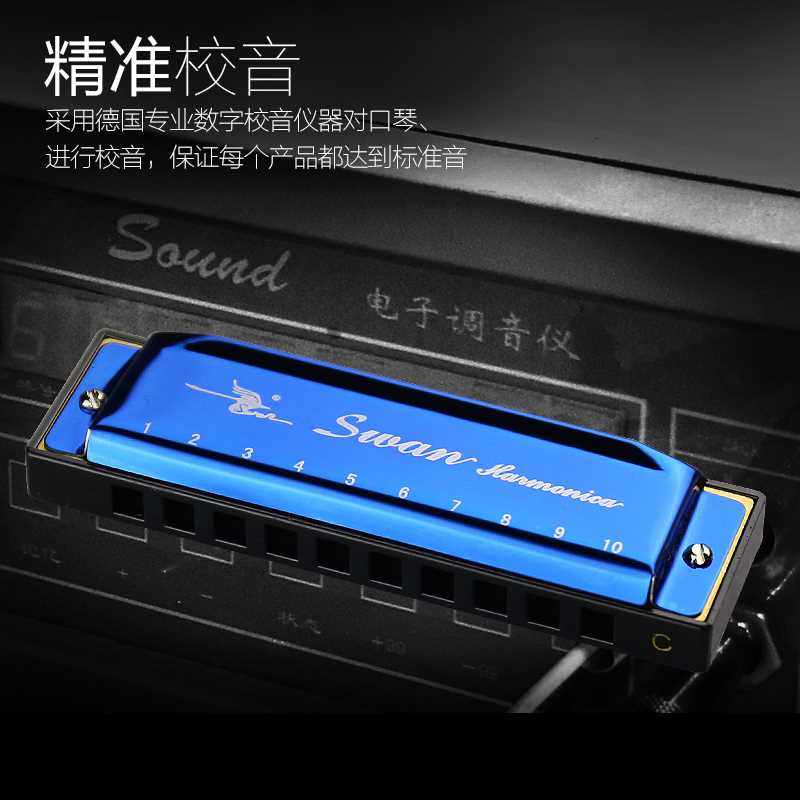 天鹅10孔布鲁斯口琴男 c调儿童初学者学生蓝调十孔入门小囗琴乐器