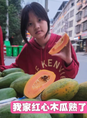 云南自家种云南红心冰糖牛奶木瓜现採树上熟整箱（顺丰速递）