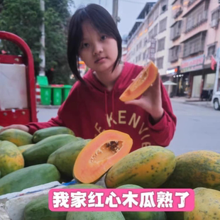 云南自家种云南红心冰糖牛奶木瓜现採树上熟整箱（顺丰速递）