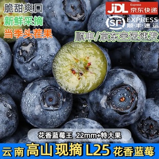 现摘云南高山花香蓝莓新鲜水果L25怡颗特大 京东空运 蓝莓 顺丰