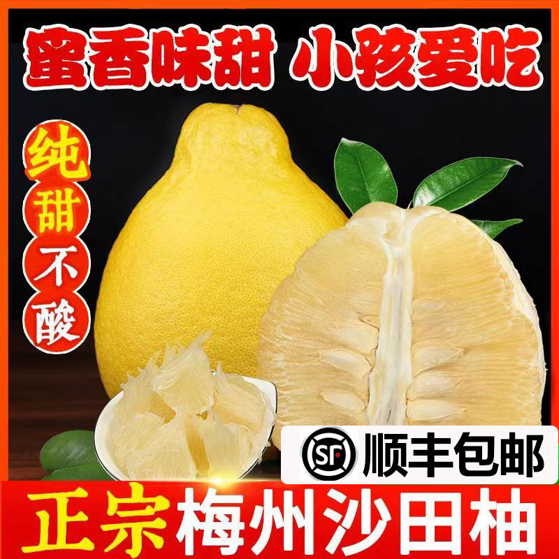 纯甜正宗梅州沙田柚子广东梅县金柚白心柚新鲜现摘水果当季非容县