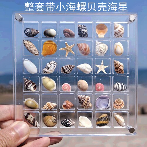 微型亚克力天然迷你海边礼物天然