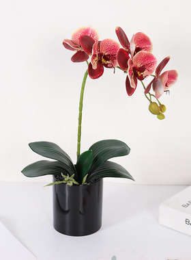 PU手感蝴蝶兰高仿真花套装摆件家居假花室内茶几摆放盆栽装饰品