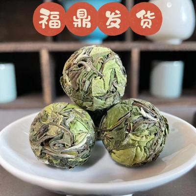 正宗福鼎白茶2023年管阳高山老树纯料白牡丹茶球龙珠手工沱茶500g