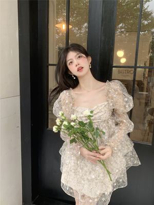 尼亚假日网纱公主女夏长袖透视