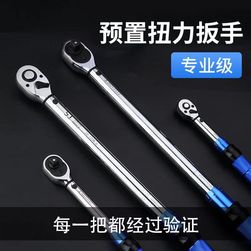 大中小扭矩扭力扳手预置式重型TG