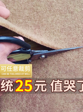门厅地毯门垫脚垫进门地垫门前定制可裁剪大门口地垫入门家用吸水