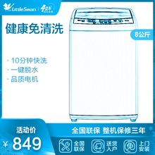 小天鹅洗衣机8公斤KG全自动大容量波轮洗衣机智能TB80家用大家电