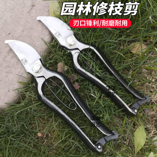 老式金叶修枝剪园艺剪刀