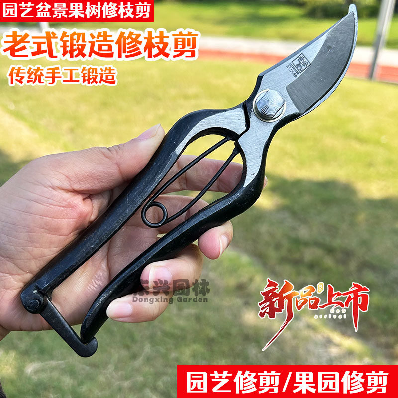 老式锻造黄金马修枝剪图片