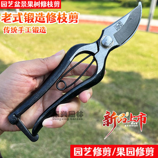锻造黄金马修枝剪老式 老式 锻打剪刀剪树剪子果树剪枝剪园艺修枝钳