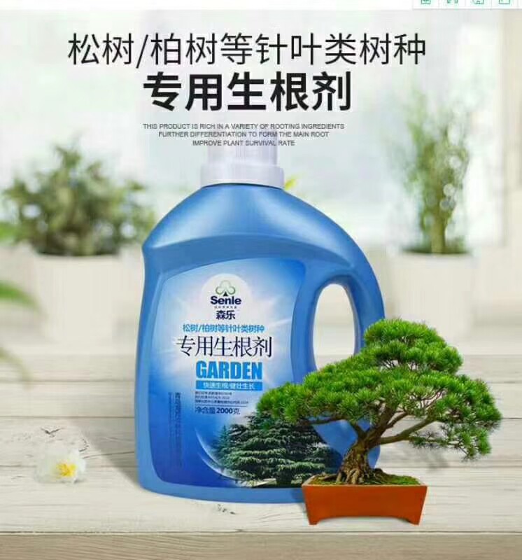 松柏苗木专用营养液生根液剂 森乐松树崖柏生根液生根科技松柏促