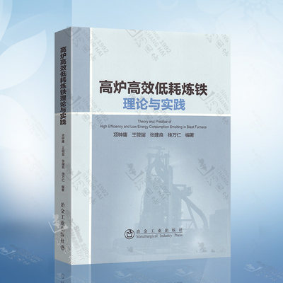 正版 高炉高效低耗炼铁理论与实践 项钟庸 王筱留 张建良 徐万仁 高炉炼铁领域相关科研生产设计教学管理人员阅读参考冶金工业出版