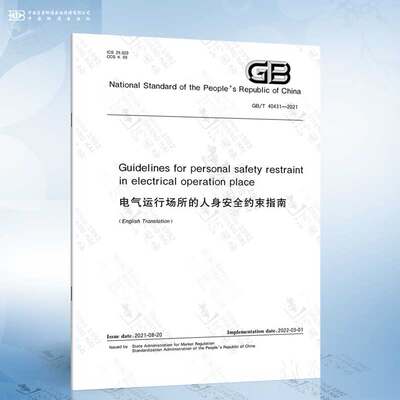 GB/T 40431-2021 Guidelines for personal safety restrain...