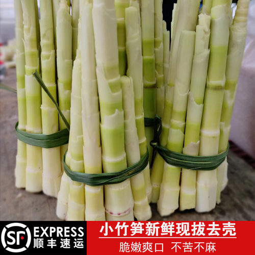新鲜小竹笋野生现剥去壳甜竹笋