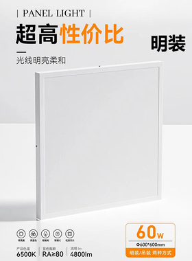 银利达明装600x600led平板灯石膏吸顶水泥天花面板吊灯暗装矿棉板