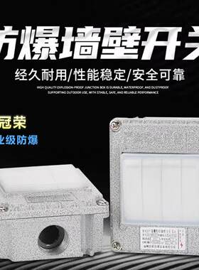 防爆墙壁开关SW-10单联双联