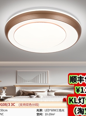 29108/29109/29115S/29116S新款LED卧室阳台吸顶灯现代简约三色光