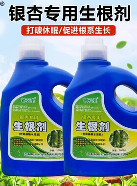 银杏移栽生根剂银杏生根液植物通用快速生根粉营养液果树壮苗专用