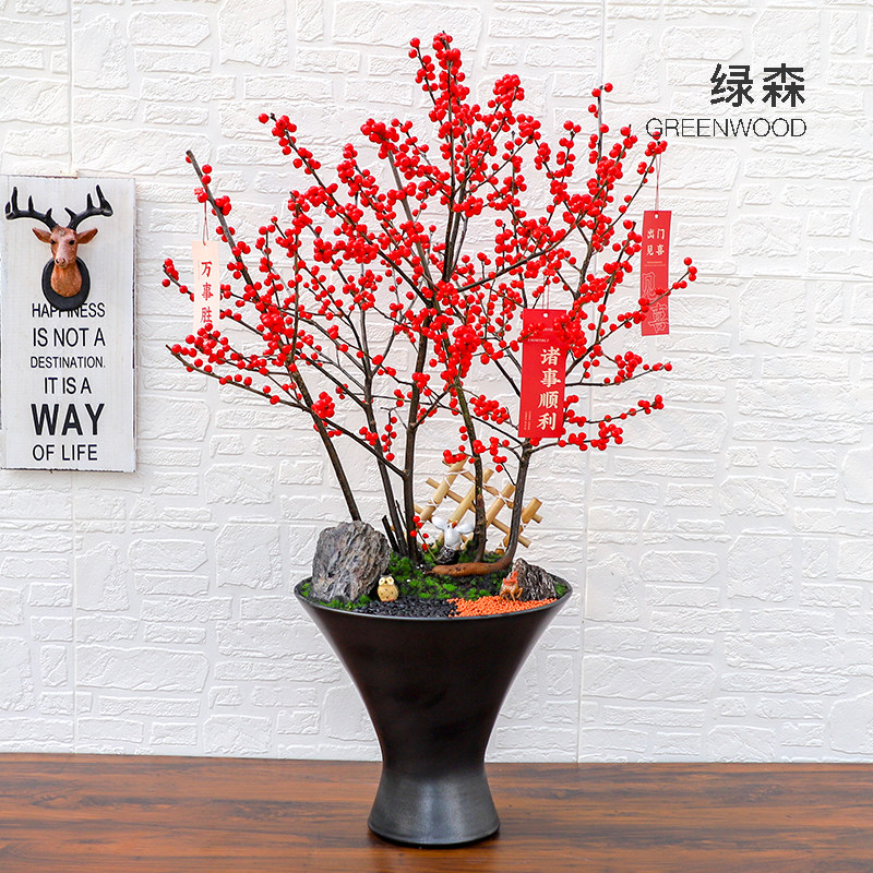 进口北美冬青盆栽带红果室内外老桩盆景可鲜切枝耐寒年宵花发财果,鲜花速递/花卉仿真/绿植园艺,大型绿植/成品组合盆栽,淘宝优惠券,粉丝福利购,淘宝优惠卷