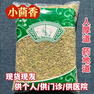 安国中药材市场 正宗小茴香 调料种子新鲜甘肃小回香非特级500克