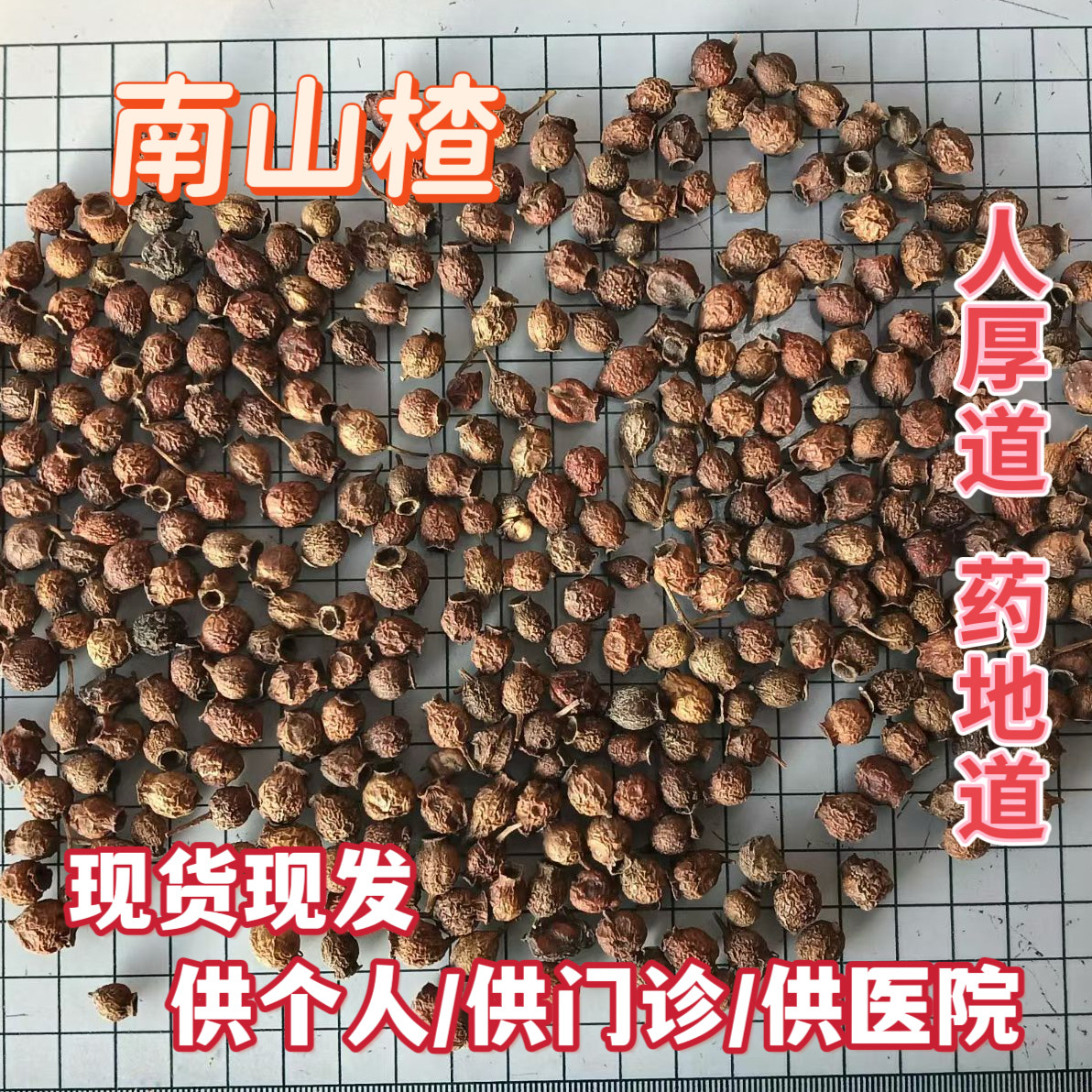 安国中药材市场 南山楂野山楂药用红果子无硫山楂豆小叶山楂包邮