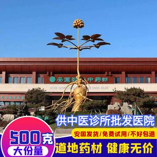 安国中药材市场批 发中草药大全 冷背药材店铺 白茯苓 黄芪 当归