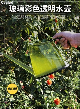 Cegier德国工艺洒水壶家用浇花壶花洒壶园艺浇花壶加厚长嘴 |寅潇