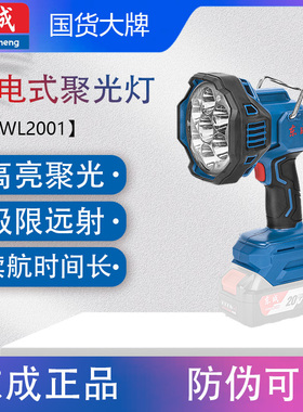 东成DCWL2001充电式聚光灯户外露营灯帐篷灯照明灯手电筒锂电池灯