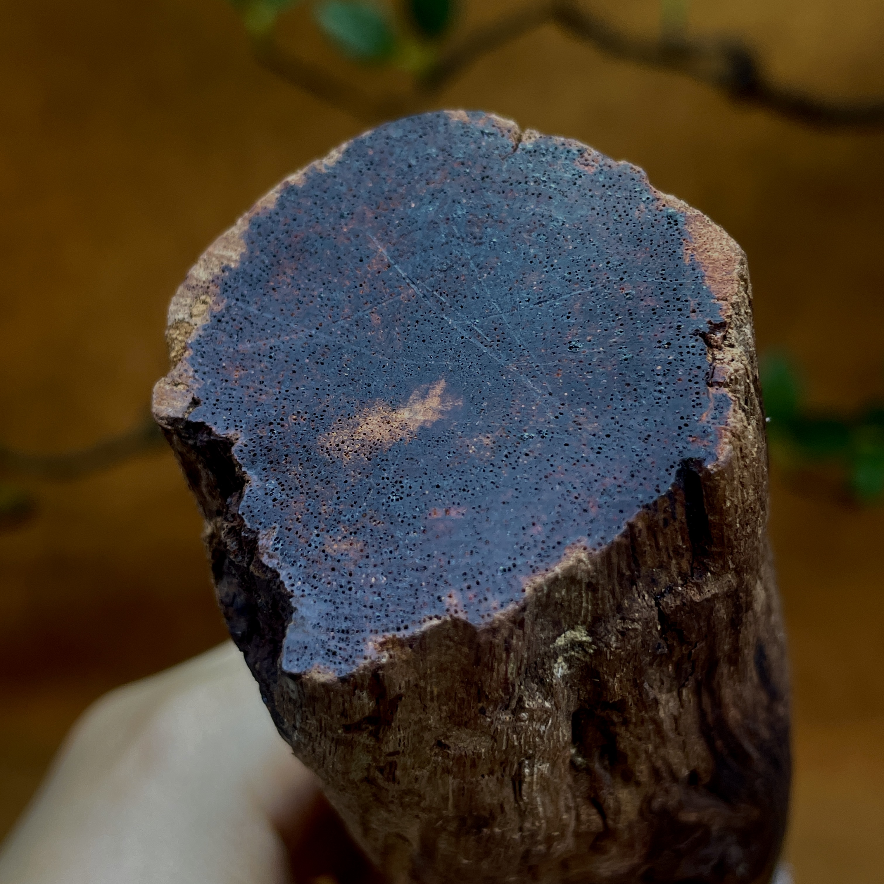 天然小叶降真香虫漏土埋老料黑黄油软糖结实心手串定制料超哥推荐