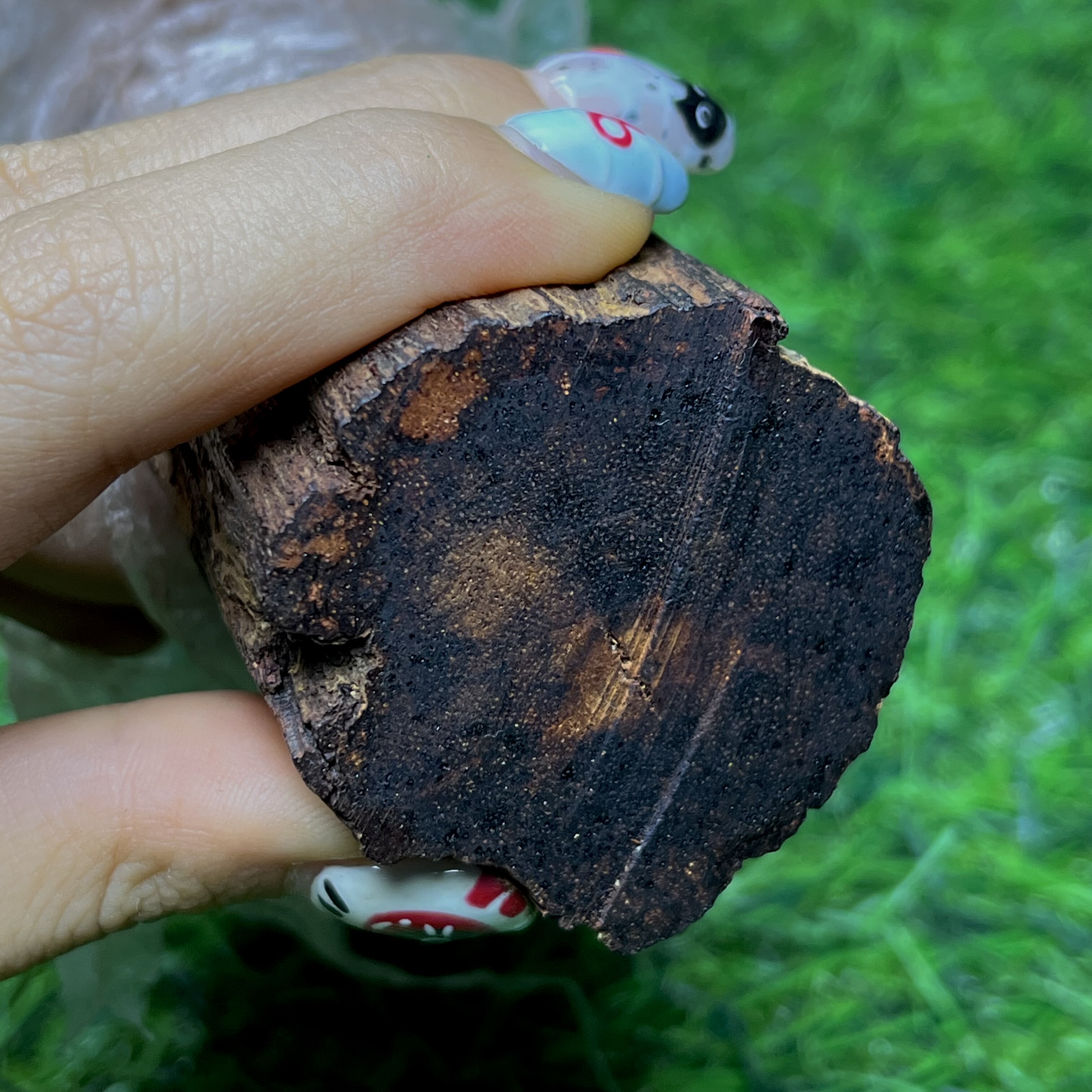 天然小叶降真香收藏级藤心黄白老蜜结油老土埋料猫猫推荐