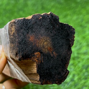 天然小叶降真香爆香级黄油藤品蜡感高端软糖结油料猫猫推荐