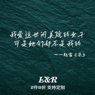 赵雷朵歌词车贴 我爱这世间美貌的女子个性防水雷子歌迷装饰贴纸