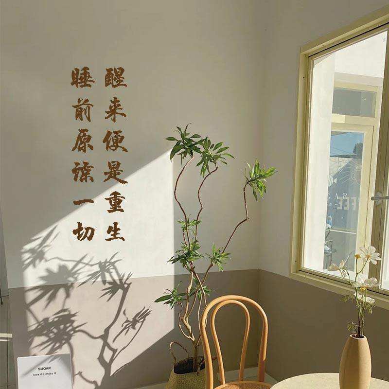 睡前原谅一切醒来便是重