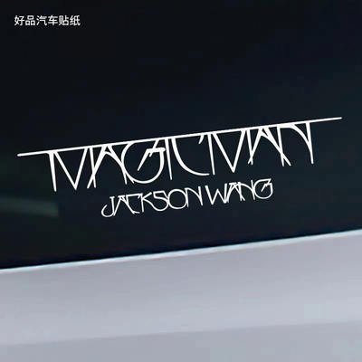 TEAMWANG车贴汽车后窗装