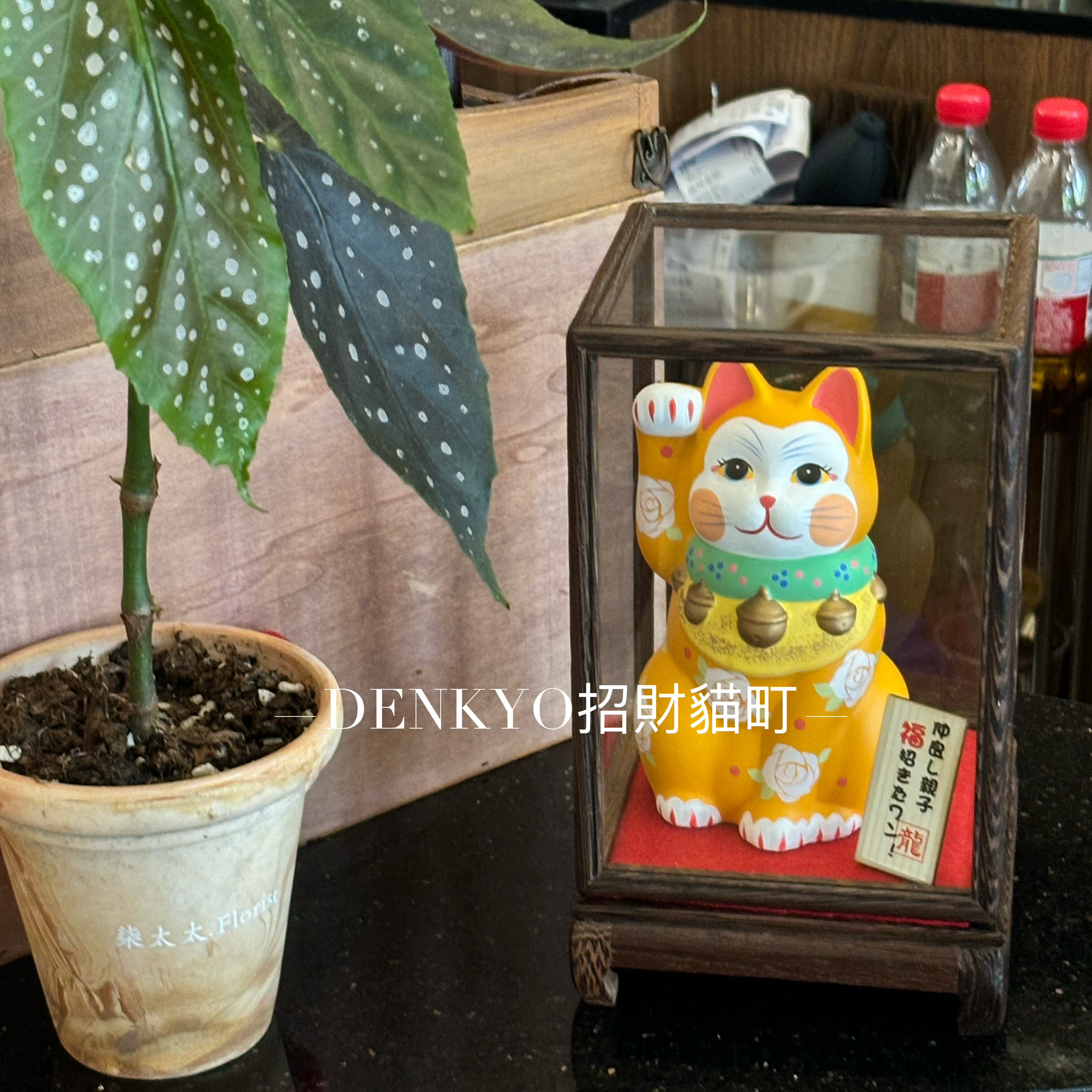 DENKYO日本龙虎作招财猫摆件