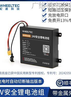 新品可开票对公外电源定制充电电池组磷酸铁锂户24V P760S安全锂