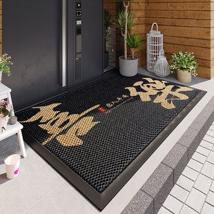 2025新款入户门地垫家用门口耐脏免洗pvc脚垫高端进门防滑蹭脚垫