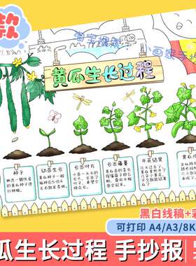 自然笔记手抄报黄瓜生长记小学生植物观察生长过程日记小报线稿a4