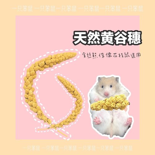 【一只笨鼠】仓鼠金丝熊花枝鼠长肉躺手神器谷穗五谷