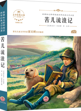 4本29.8】苦儿流浪记正版包邮 中小学生课外阅读书籍三至六年级 儿童文学书 语文新课程标准推荐书目 9-10-12-15周岁青少年