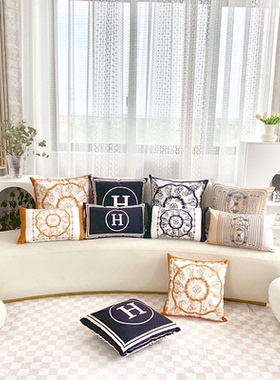 新款时尚轻奢抱枕沙发卧室靠垫客厅床头毛绒汽车靠枕含芯布艺枕套