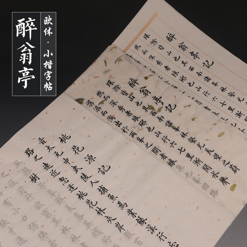 小楷毛笔字帖田英章欧体楷书醉翁亭记桃花源记成人学生软笔书法初